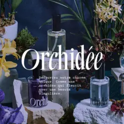 Maison Orchidée (メゾンオルオルキデ)