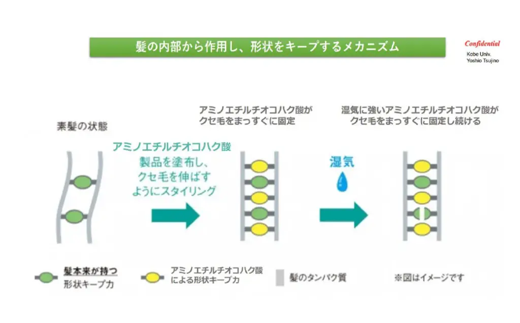 K.E.Lのメカニズム解説図
