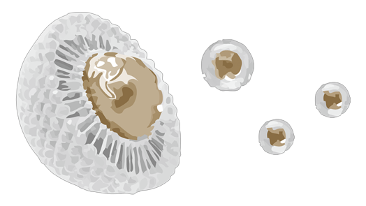 最新リポソームケラチン配合