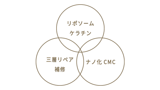 内部まで整える、補修設計