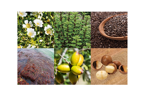 15種の天然由来成分配合